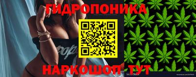 MESCALINE Кингисепп