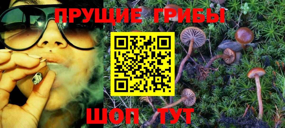 Псилоцибиновые грибы мухоморы Губаха