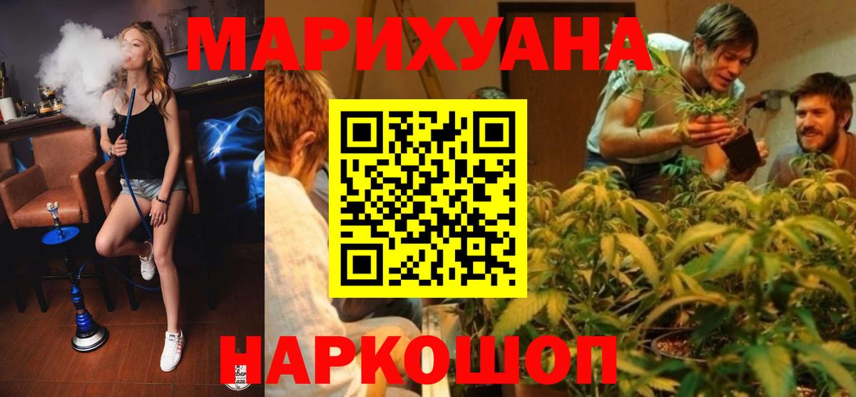 Конопля MAZAR Губаха